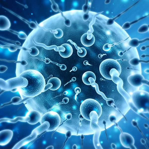 Espermatozoides ao redor de óvulo — medicina reprodutiva